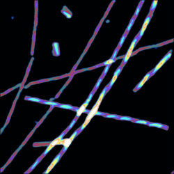 Qi Fit 2015 11 19 09 02 56 563 Reference Force Height Measured Default