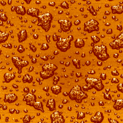 Qi Fit 2011 07 04 17 29 53 Jpk Qi Image Adhesion Retract Best