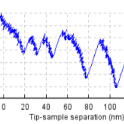 Filamin Dd Fln Unfolding