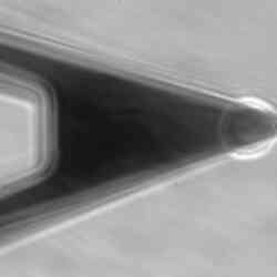 Cell Bound To Cantilever