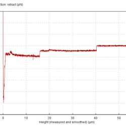 Melanoma Cell Endothelial Cell