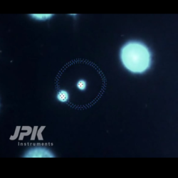 Fluorecence Filter Change