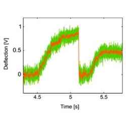 Kinesin Motility Thumb