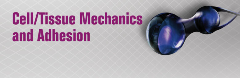 Key Visual Cellular Adhesion Cytomechanics