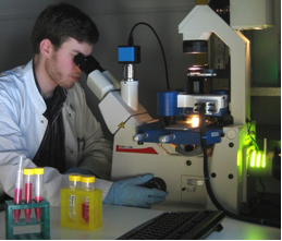 Ch Kaes Group Pawlizak