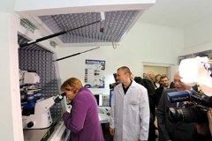 Mdc Bundeskanzlerin Blickrein 240X162