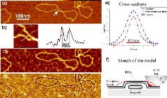 Severin Image 240X162