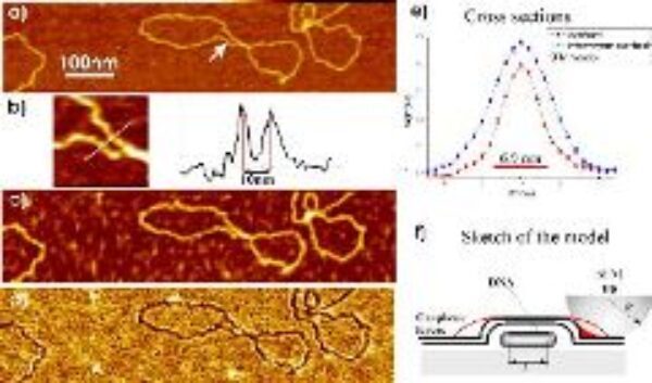 Severin Image 240X162