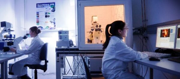 The Franz Group At Karlsruhe Webseite