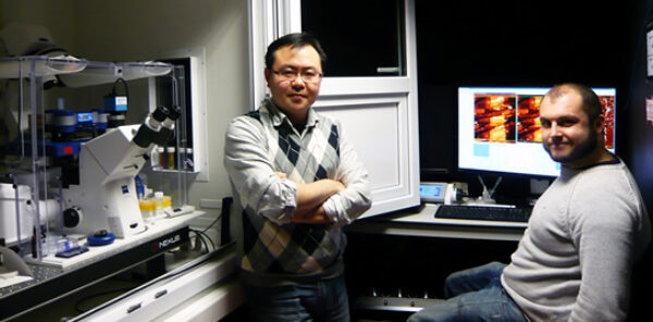 Jpk Nw Liverpool 544