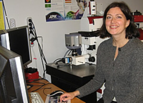 Ntnu Trondheim 240X173