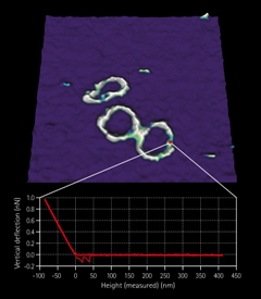 Dna With Force Curve End 240X270