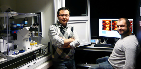 Jpk Nw Liverpool 544