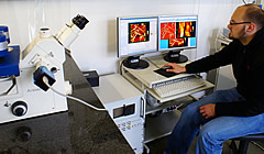 Marek Janko Lmu 240X140