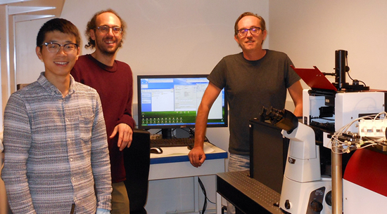 Nt Marseille 550X305