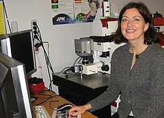 Ntnu Trondheim 240X173