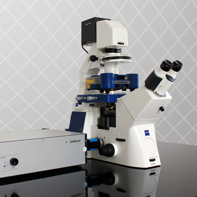 CellHesion module thumbnail